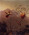 Martin Johnson Heade Tufted Coquette painting